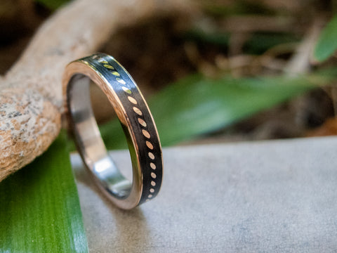 Anillo de Titanio, Oro amarillo 18k y Fibra de Carbono (44704_4N)
